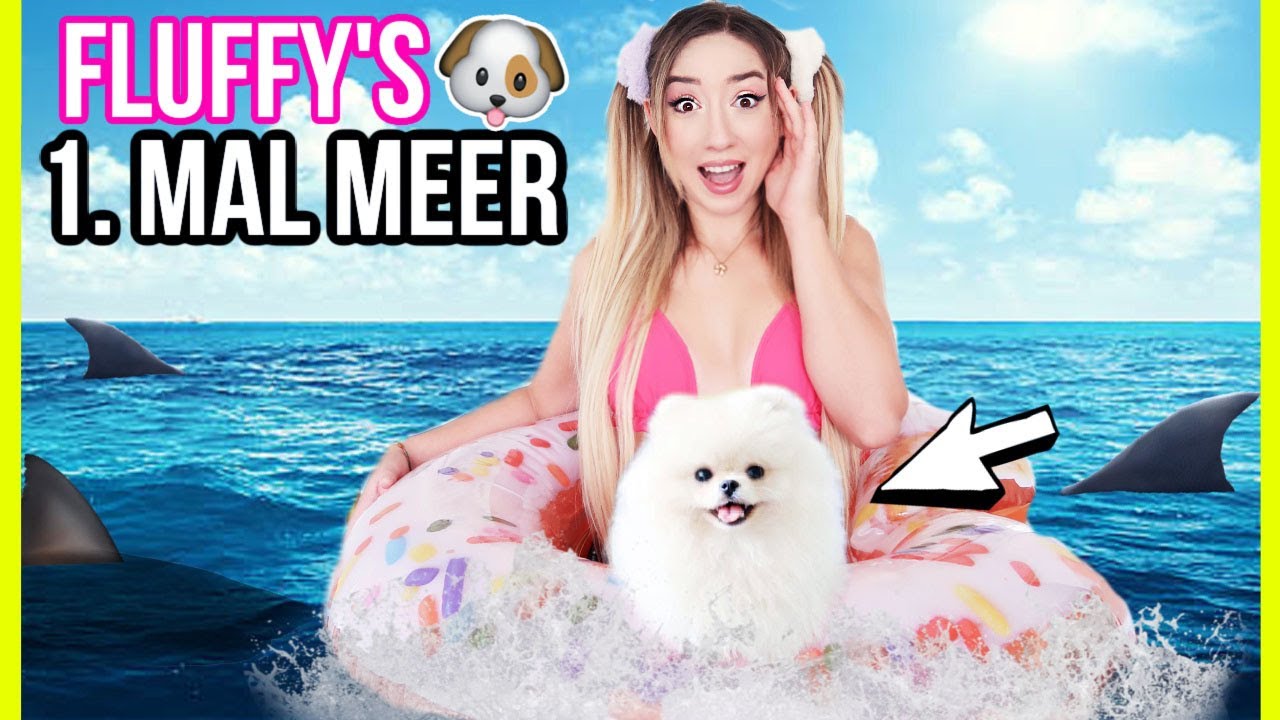 1 Tag lang gehe ich mit WELPEN FLUFFY zum TIMMENDORFER STRAND ans MEER (Ihre REAKTION live..)