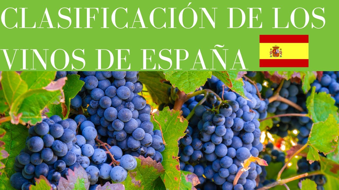 👍 ¡¡CLASIFICACIÓN de los VINOS de ESPAÑA!!🍷[EXPLICADO✅]▶[COMPLETO]▶[CURSO DE VINOS🍷]