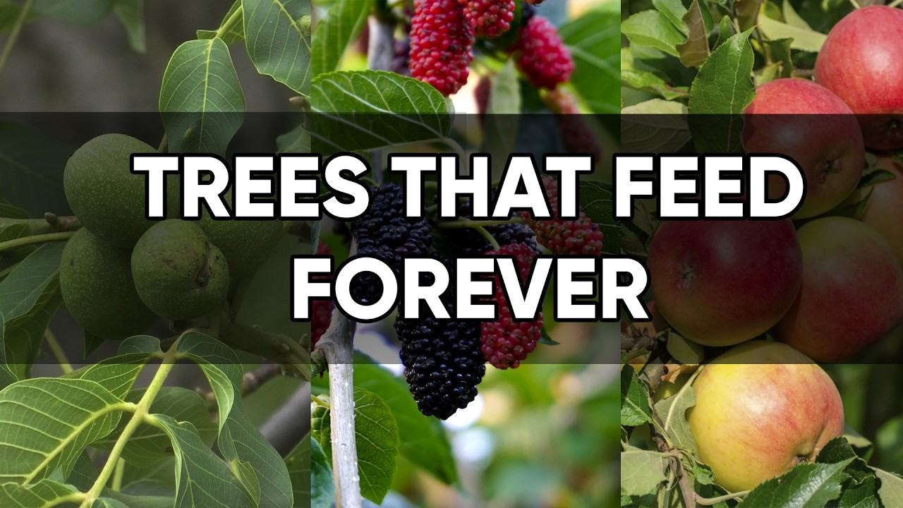 Plant These 8 Powerful Trees Once &mdash; Harvest Food for Decades!