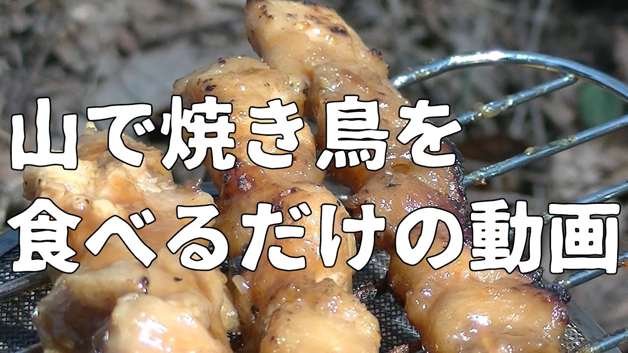 【ASMR】山で焼き鳥を食べるだけの動画