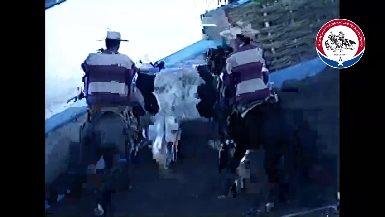 Historia del Rodeo, cap. 20: El Champion de Chile de 1996