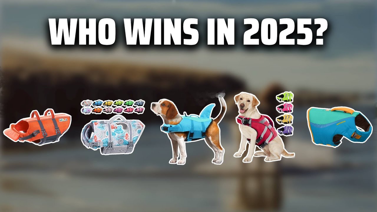 The Top 5 Best Dog Life Jacket in 2025 - Must Watch Before Buying!