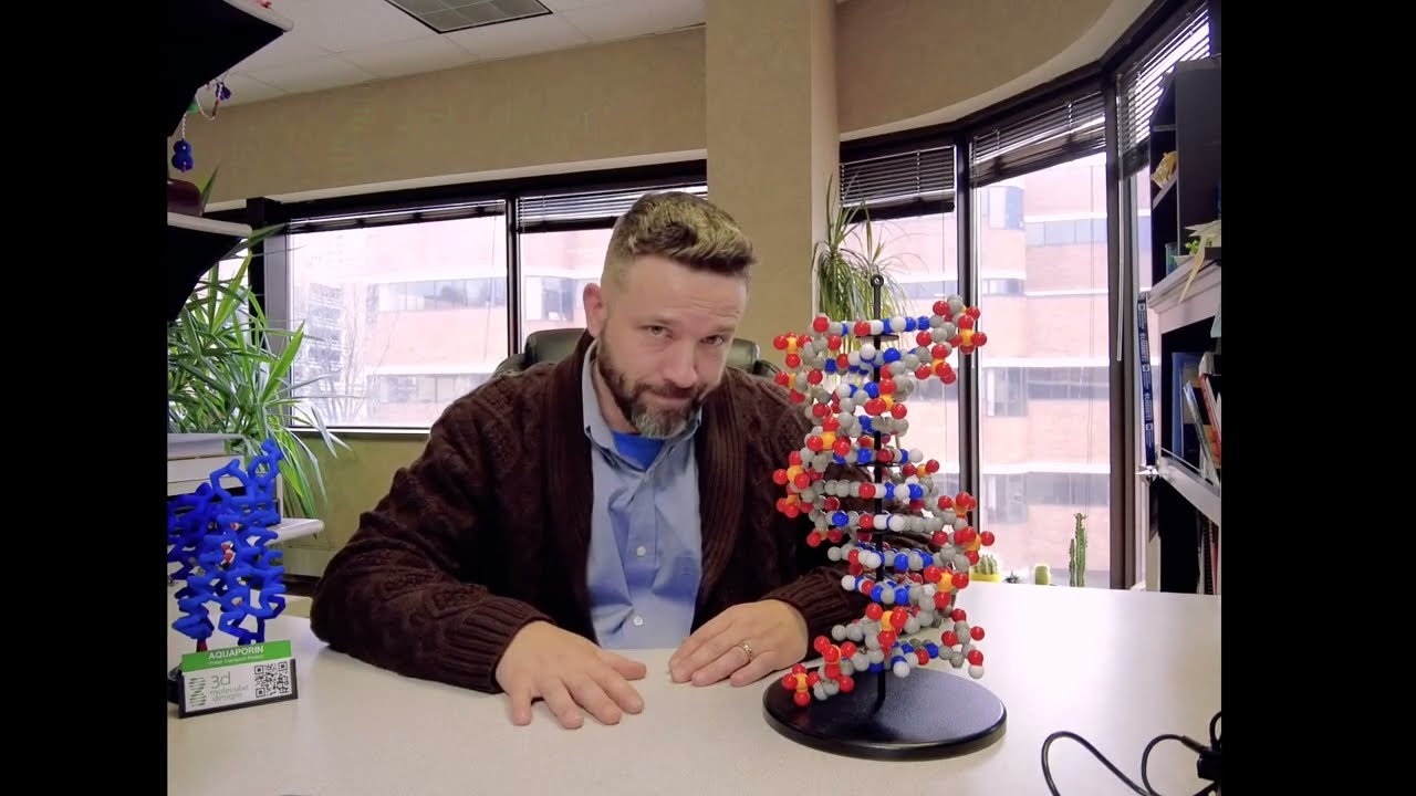 Dynamic DNA Construction