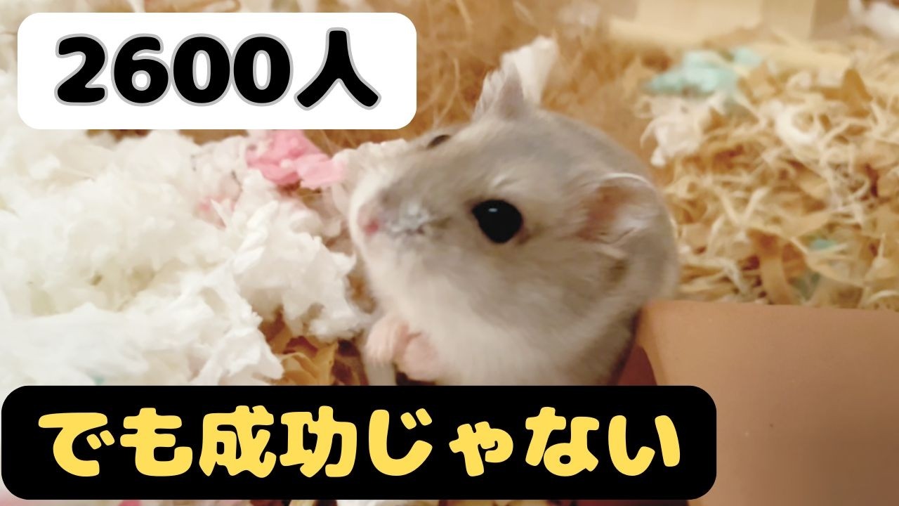 登録者2600人。でもこれは成功の話じゃない。