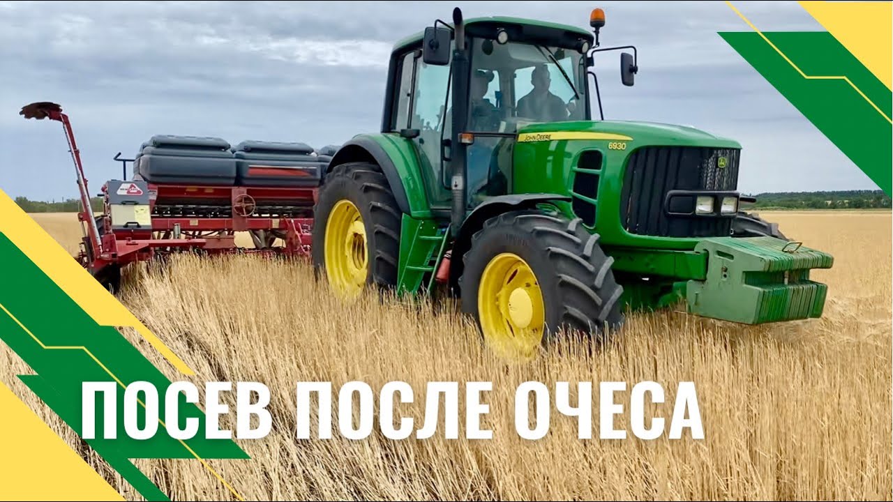 Прямой посев после очёса - есть ли проблемы?