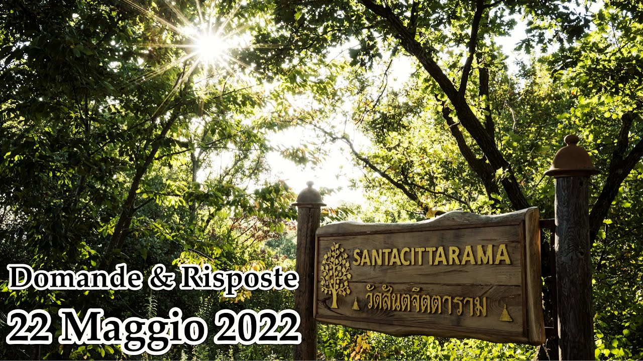 Ajahn Chandapalo - Dhamma Domande e Risposte [Domenica 22 Maggio 2022]