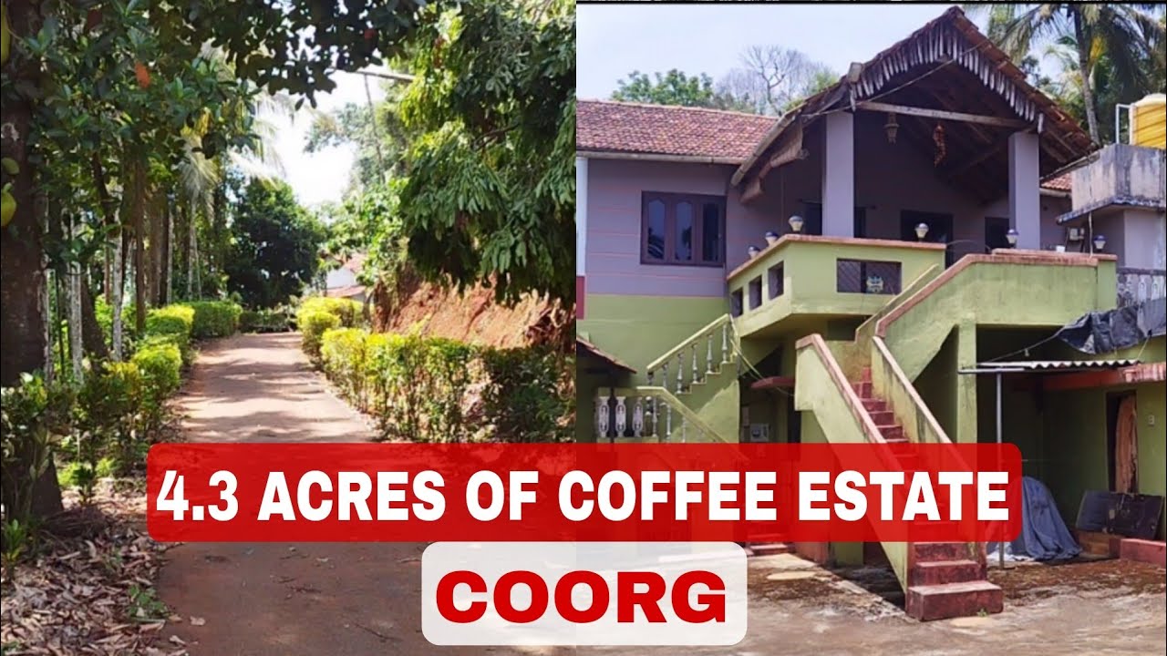 4.3 ACRES OF COFFEE ESTATE ON HIGHWAY ROAD FOR SALE IN COORG. 9480957577 / 9483875313