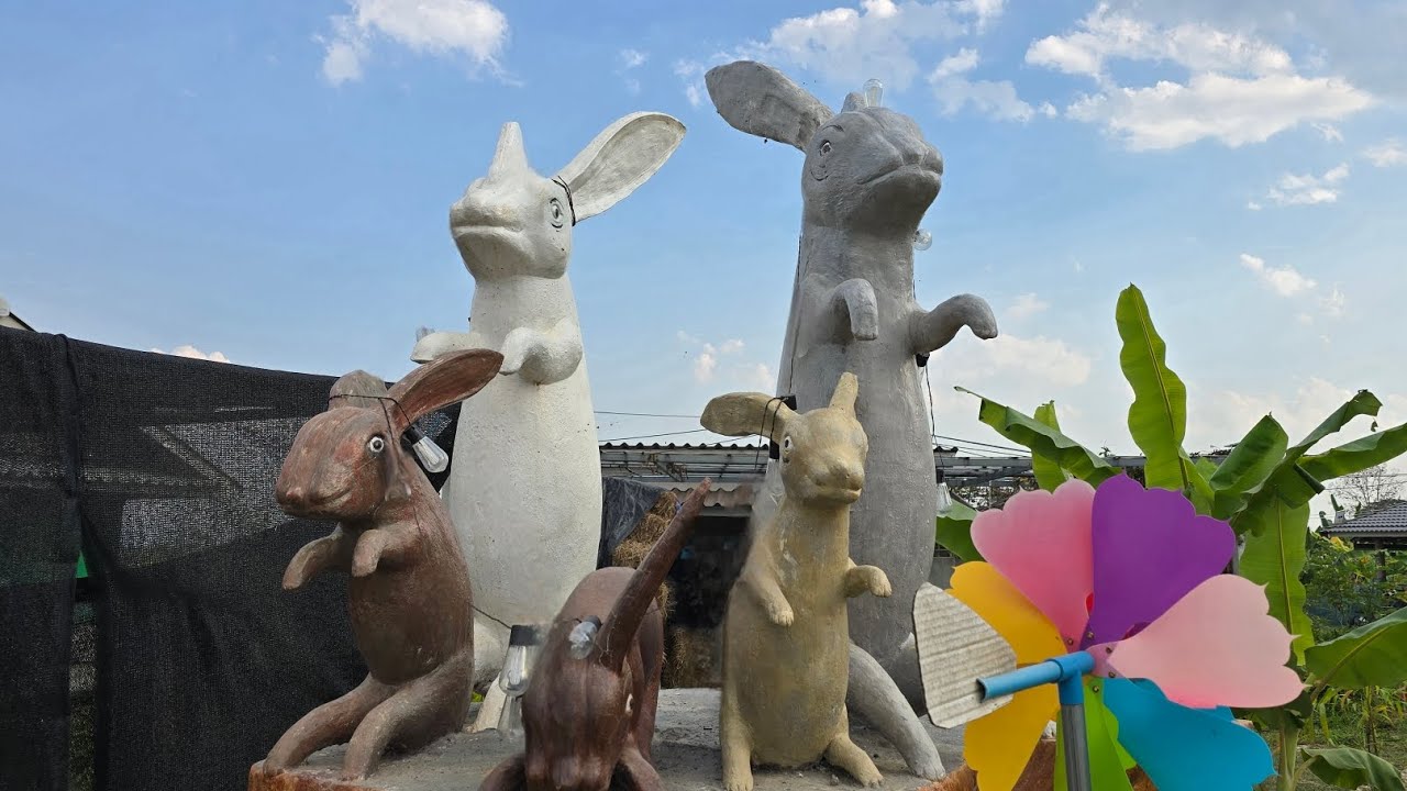 Rabbit Farm Rural Chiang Rai.