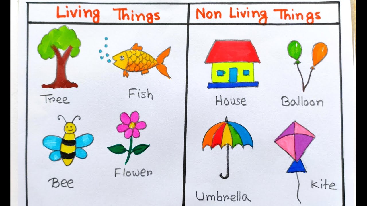 Beautiful Living things drawing easy | How to non-living things for school | Living and non living