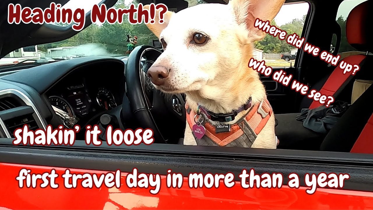 FIRST TRAVEL DAY IN A YEAR! |  Grand Design Reflection, RV Life, #fulltimerv | @WhiteRockNATION