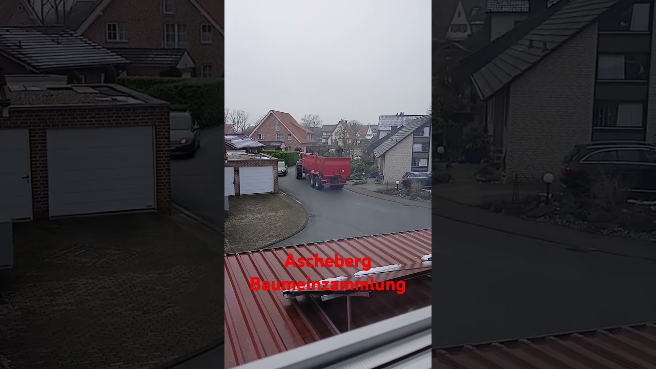 Baumeinzammlung Ascheberg