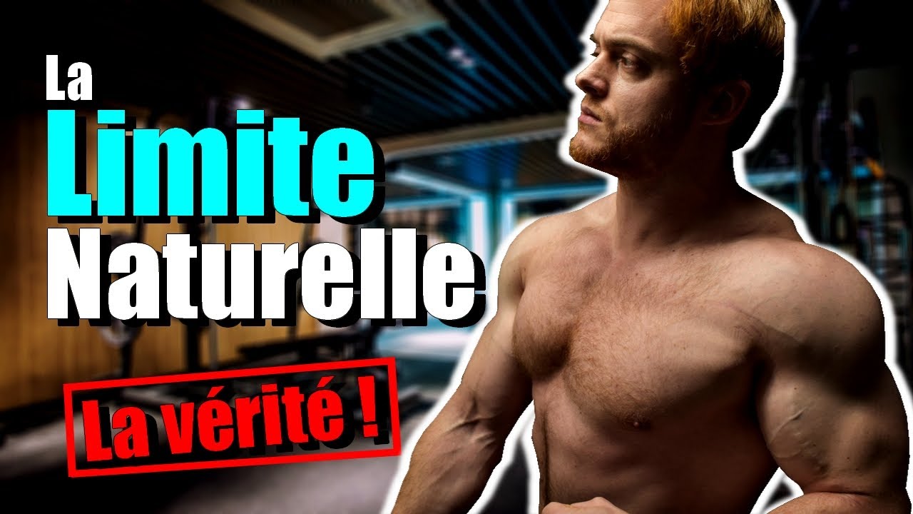 Quel est le Potentiel Réel d'un Pratiquant de Musculation Naturel ?