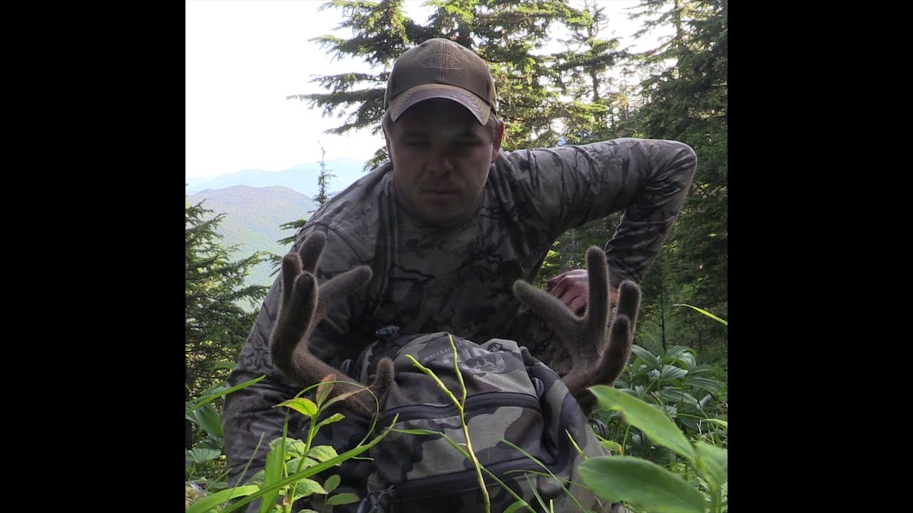 Deer Hunting: Sitka Blacktail Deer hunting during July. Prince of wales island:Southeast Alaska 2020