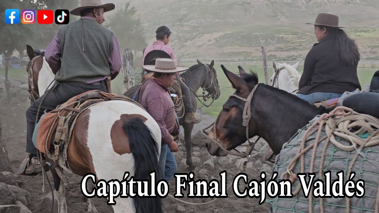 Arrieros del Cajón Valdes Cordillera de la Región del Maule Trashumancia Capítulo Final #chile