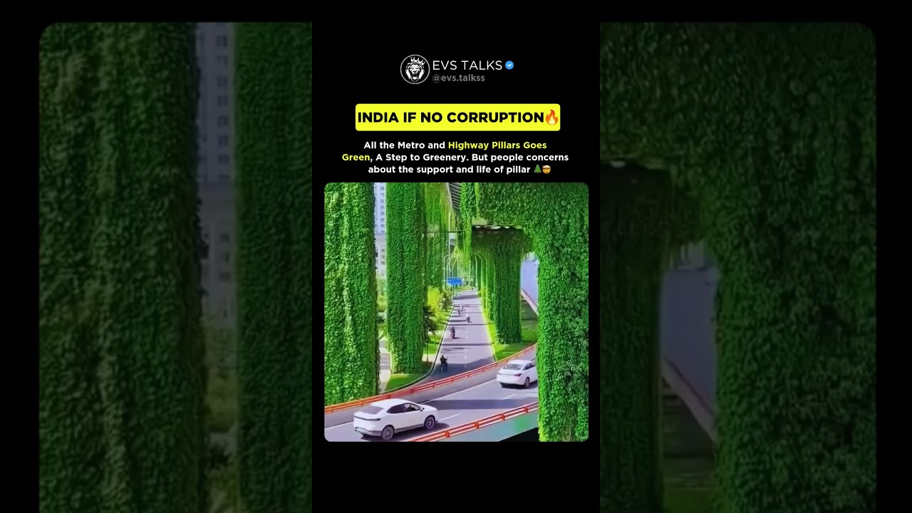 Concrete Goes Green in China 🇨🇳 | This Could Be India 🇮🇳 Without Corruption 💔🌿
