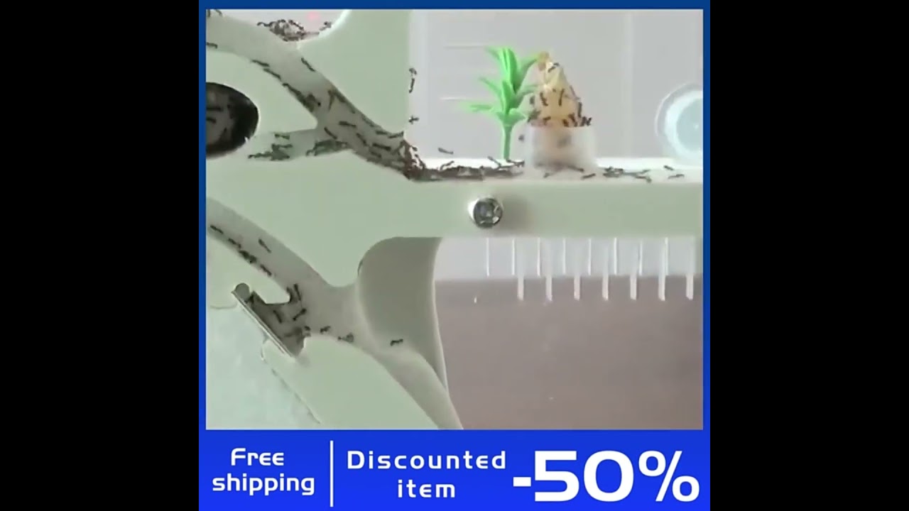 2021 New Ant Sand Castle Nest Workshop Household Ant Farm