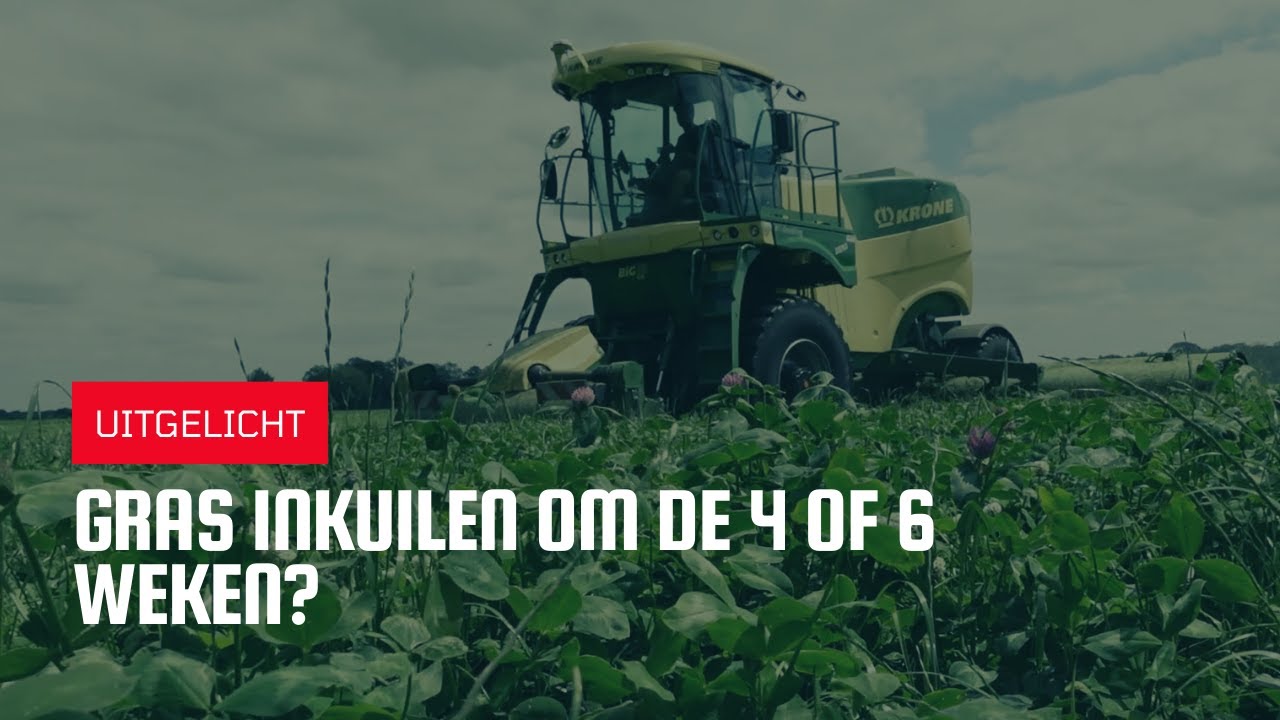 Uitgelicht | Gras inkuilen om de 4 of 6 weken?