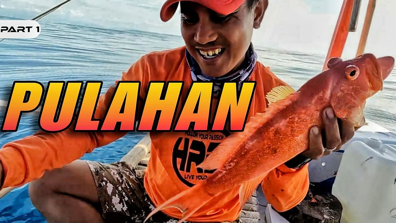 P1 - PULAHAN