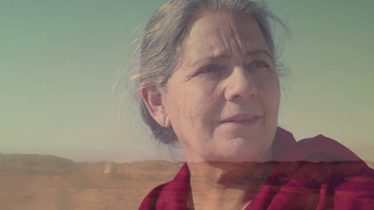 Biopic FILM Documentary | Dr. Quratulain | Fariq Riaz | Hassan Islam | IDSP