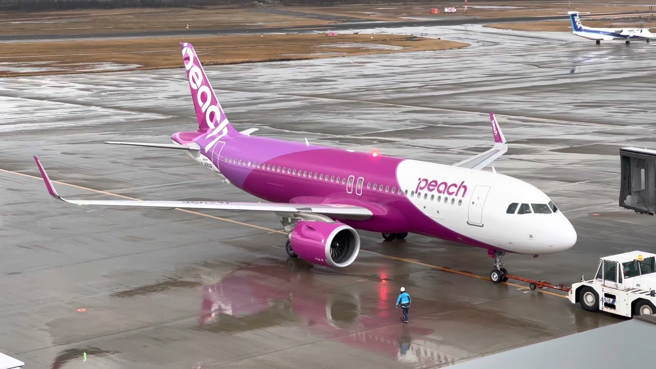 Peach Airbus A320 neo JA203P 新潟空港 離着陸