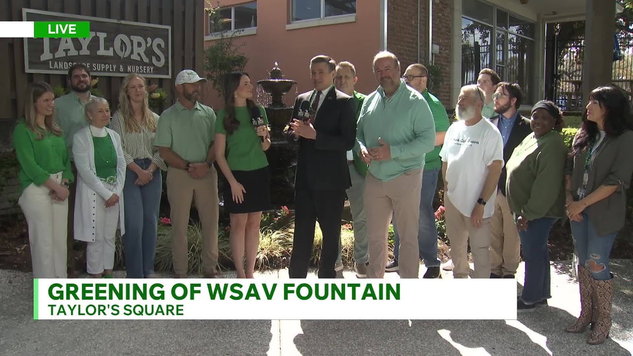 Greening of WSAV's fountain at Taylor's Square