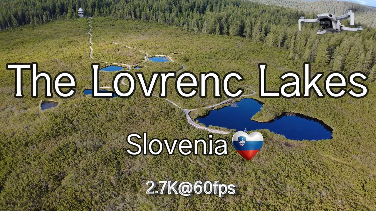 The Lovrenc Lakes, Slovenia (Lovrenška jezera) | DJI Mini 4K