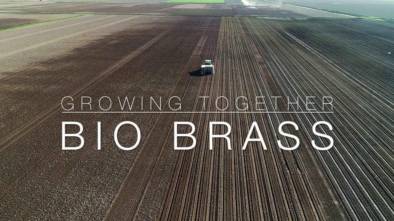 Bio Brass - Growing Together (Company Video 2020)
