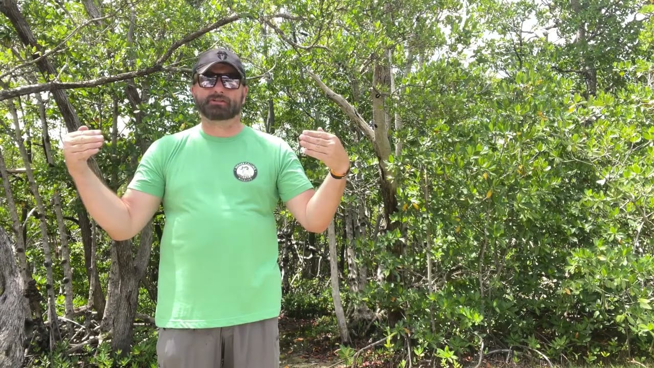 How To Become A Wildlife Conservationist