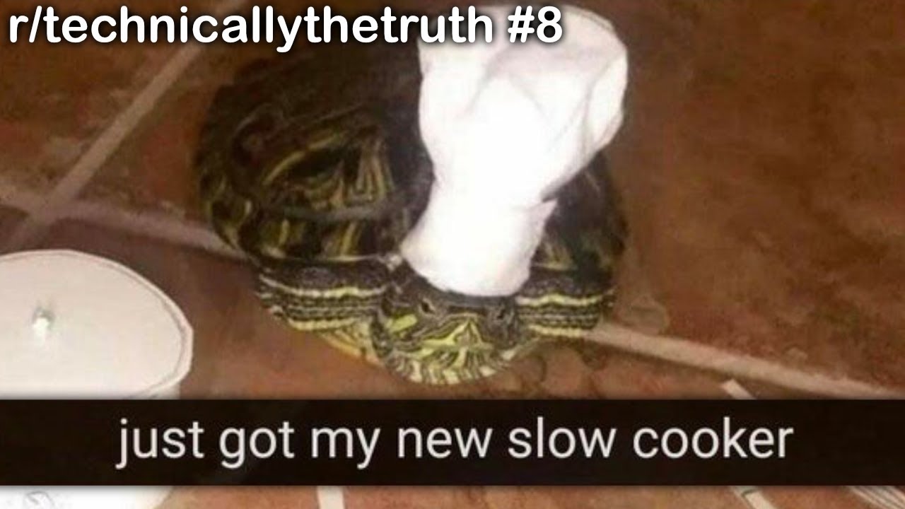 r/technicallythetruth Лучшие посты #8