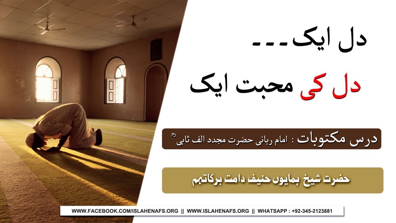 Dars Maktoobat 24 Vol : 1┇Dil Aik Dil ki Mohabbat Aik┇Hazrat Shaykh Humayun Hanif D.B #islahenafs