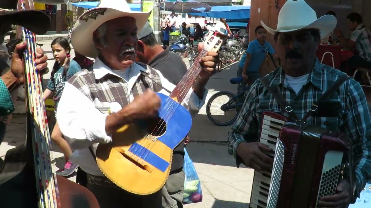 Musicos de Colotlan Jalisco