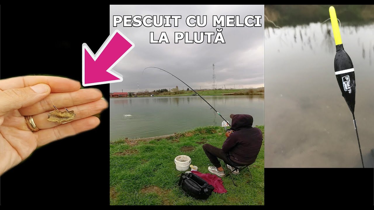 Cu Nea Mircea La Pescuit CU MELCI LA PLUTA Pe Ploaie si Vant cu Driluri Frumoase la Balta Ben