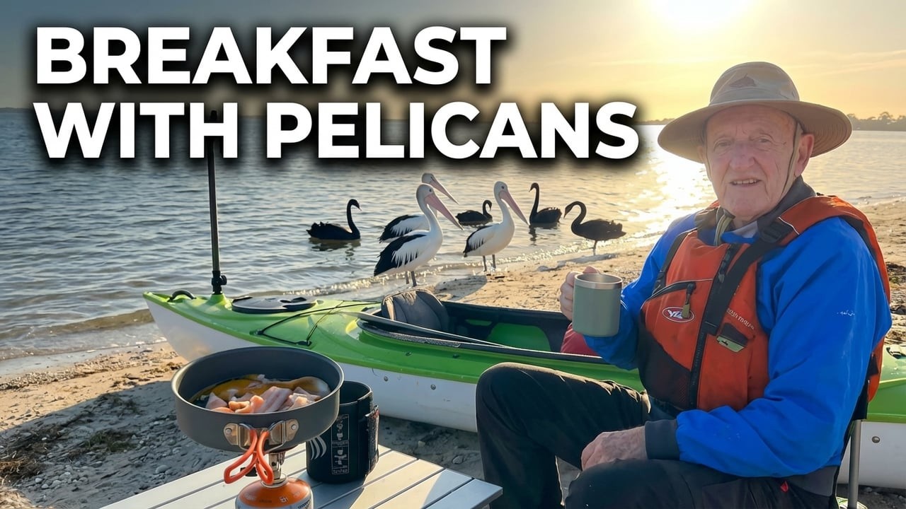Solo Morning Kayak to a Pelican Paradise