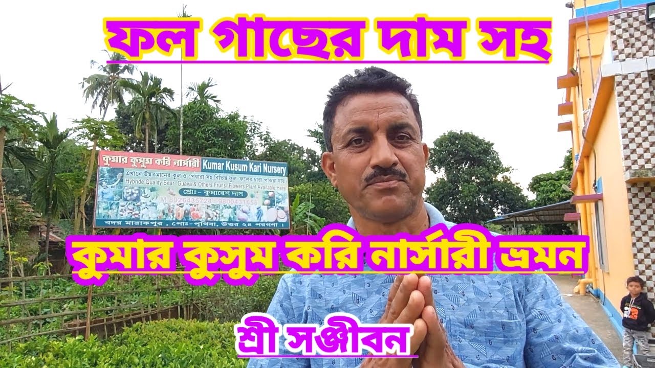ফল গাছের দাম সহ কুমার কুসুম কড়ি নার্সারি ভ্রমণ||Fruit Nursery Tour||Shree Sanjiban||