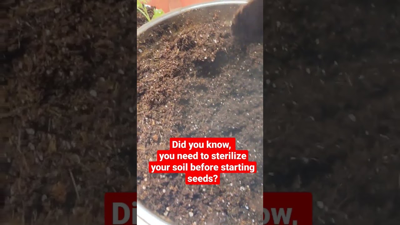 Sterilize your soil before starting seeds or starts. Get growing stronger plants!