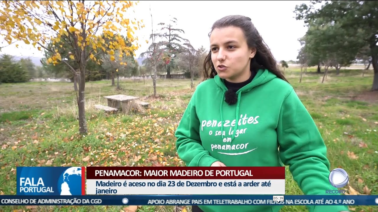Penamacor: Maior madeiro de Portugal