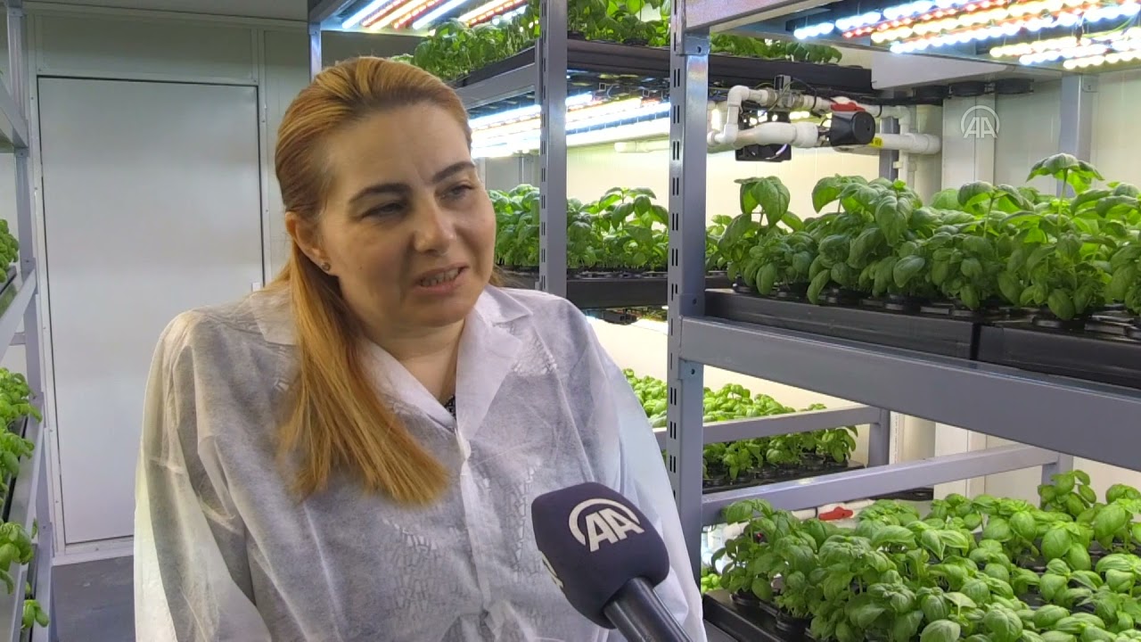 Amerika'da gördüğü topraksız dikey tarım sistemini Trabzon'da hayata geçirdi