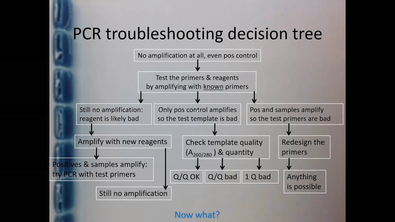 PCR & qPCR Troubleshooting - Part 4