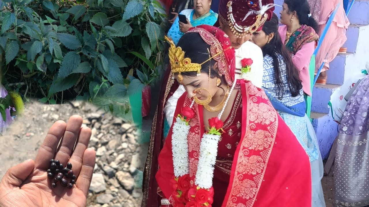 Pahadi wedding vlogs // Tehri Garhwal pahadi culture marriage // @Manishvlogs-07A 