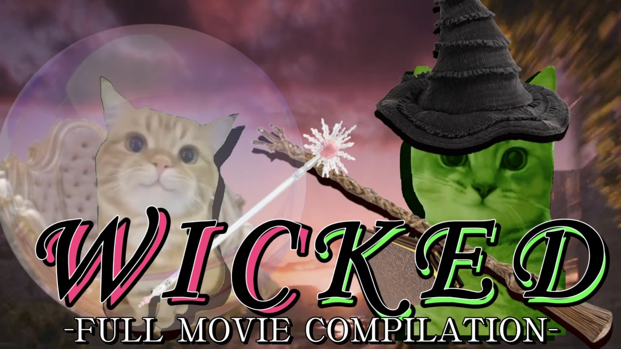 Cat MEMES: WICKED FULL MOVIE COMPILATION