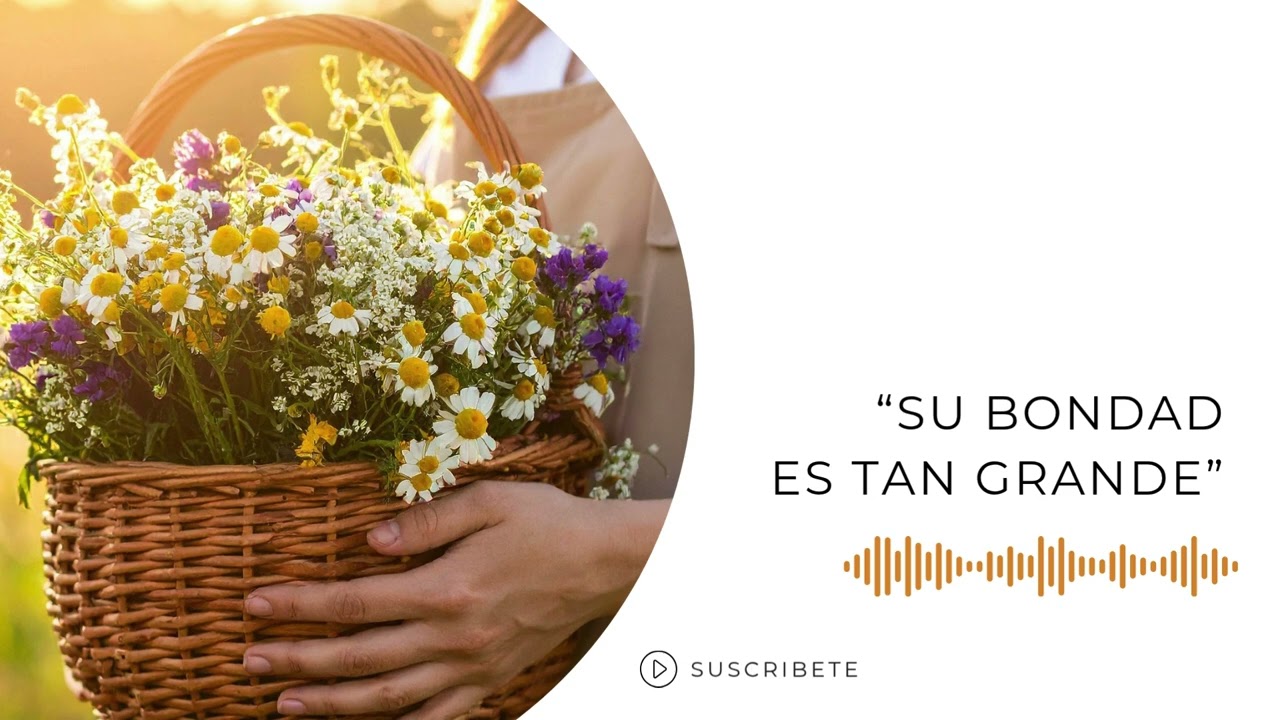 EL ANIMADOR: 