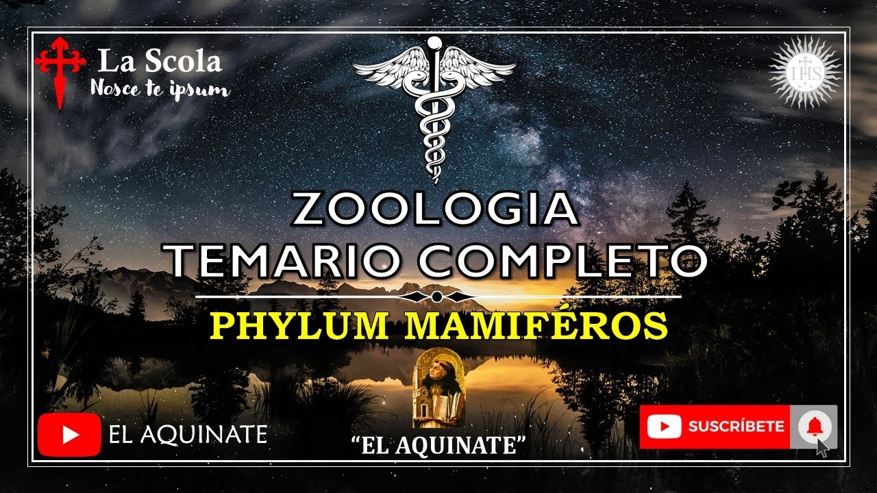 ZOOLOGIA, Temario completo: Phylum MAMIFEROS