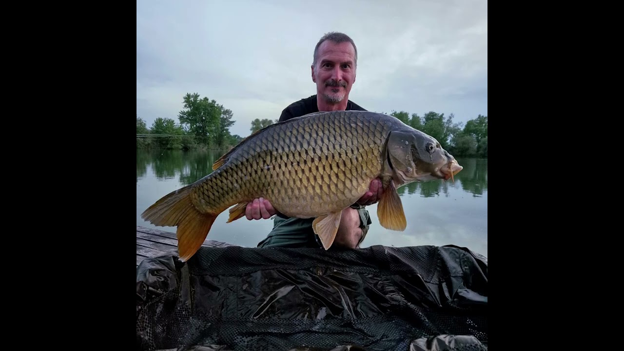 Lov kaprov na Maďarské jazere The Legend Lake
