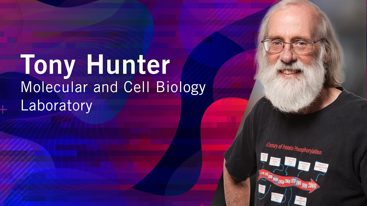 From Then to When | Meet Salk Scientists | Tony Hunter