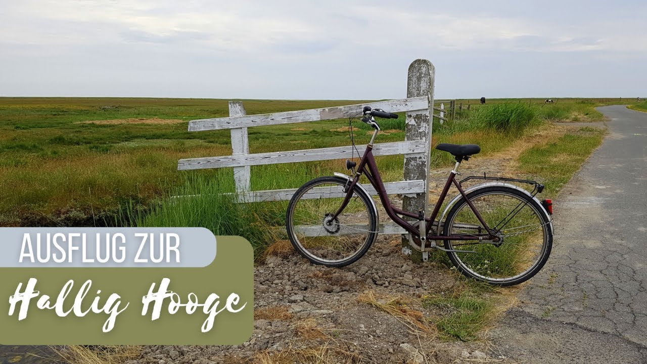 Ein Ausflug zur Hallig Hooge