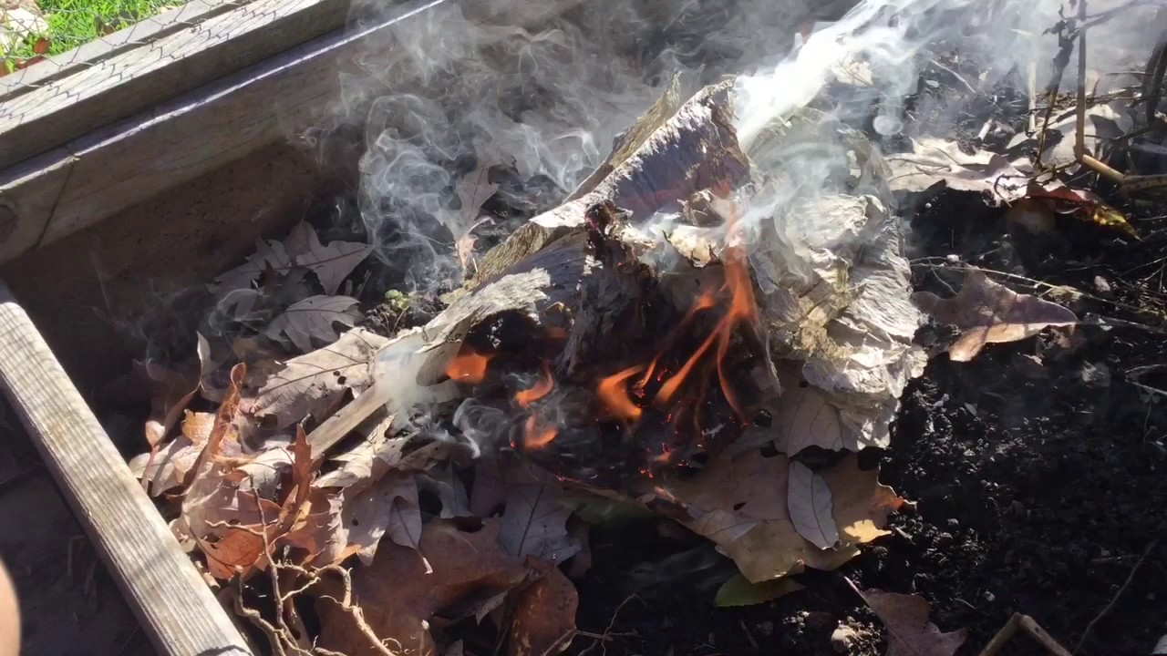 Burning A Wasp Nest
