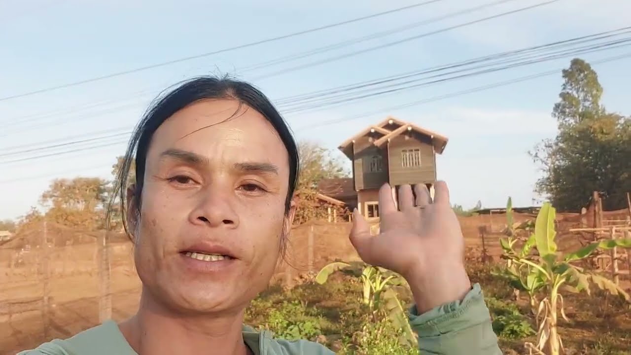 ไปจ่ายค่าวัวแล้วให้อ้ายพรไปเอามาให้เลยแม่อาจตี้เพิ่นลดให้500฿
