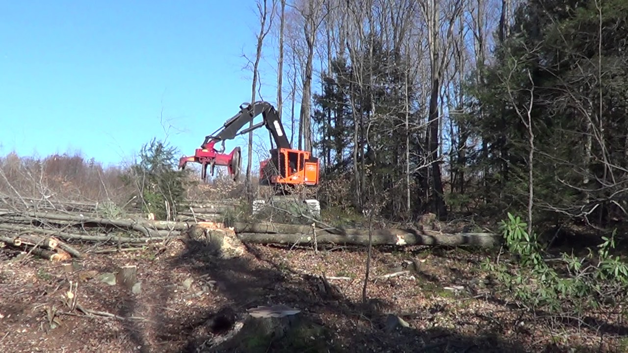 Timberpro TL745C Feller buncher