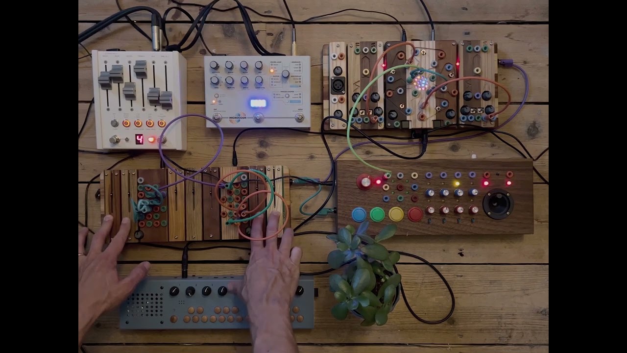 Sidrax // Organelle // Cocoquantus // Microcosm // CXM 1978