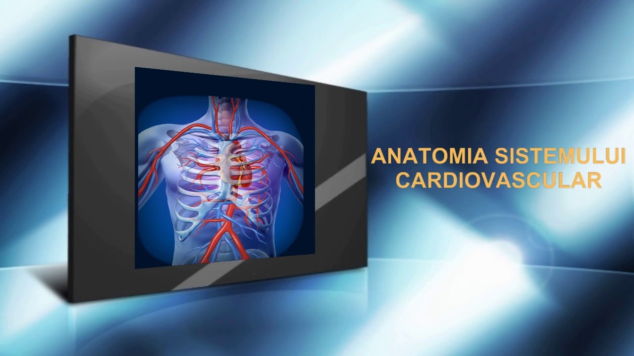 ANATOMIA SISTEMULUI CARDIOVASCULAR